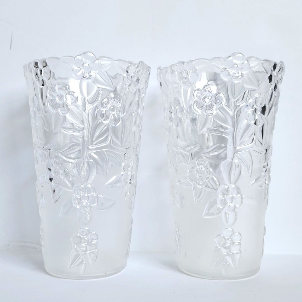Set of 2 Acrylic Floral Vase